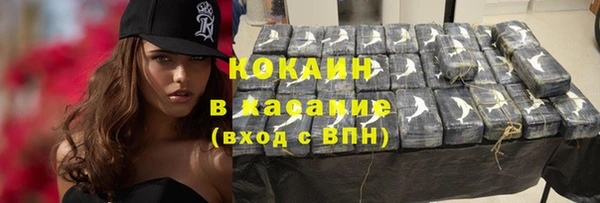 гидра Алексин