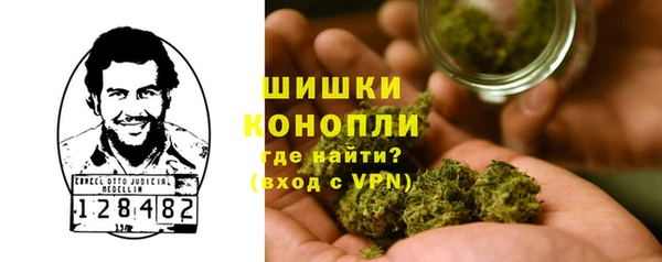 гидра Алексин