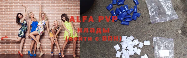 гидра Алексин