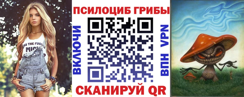 Псилоцибиновые грибы GOLDEN TEACHER  Суровикино 